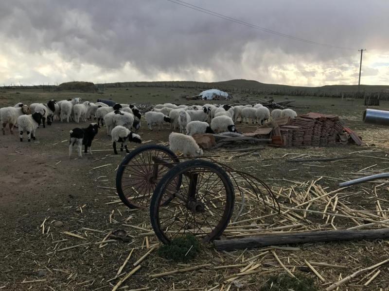 På landsbygden i Inre Mongoliet