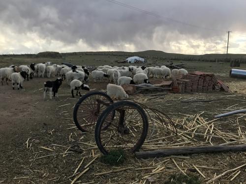 På landsbygden i Inre Mongolia